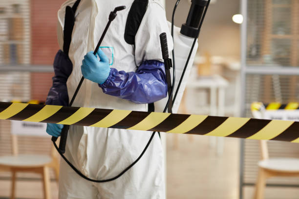 Professional Hoarding Cleanup technician working in Alliance, NC